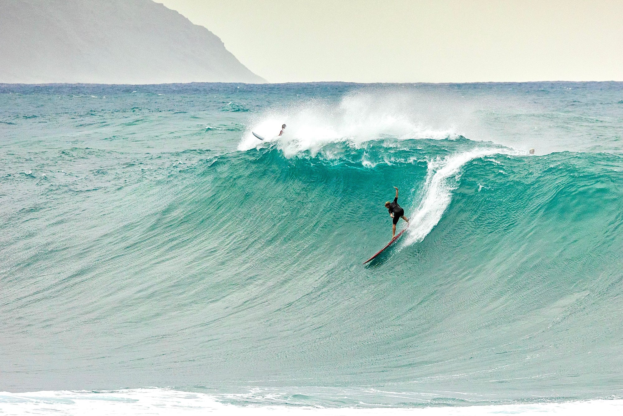 JJF 10&#39; Big Wave Leash - Night